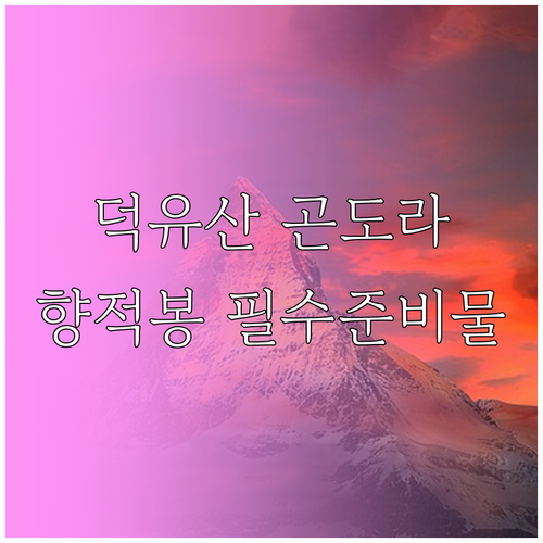 덕유산 곤도라 가격과 정상 향적봉 코..