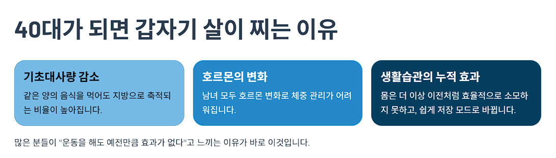 40대가 되면 갑자기 살이 찌는 이유