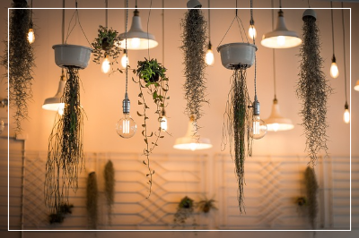 천장조명과-식물들