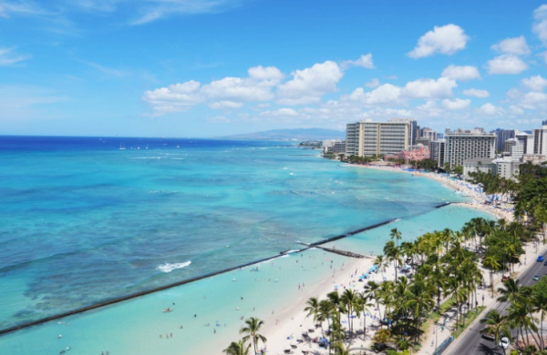 하와이 신혼여행