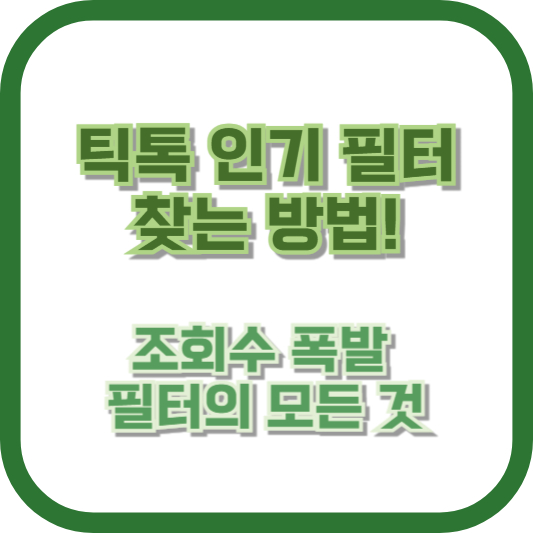 틱톡 인기 필터 찾는 방법! 조회수 폭발 필터의 모든 것
