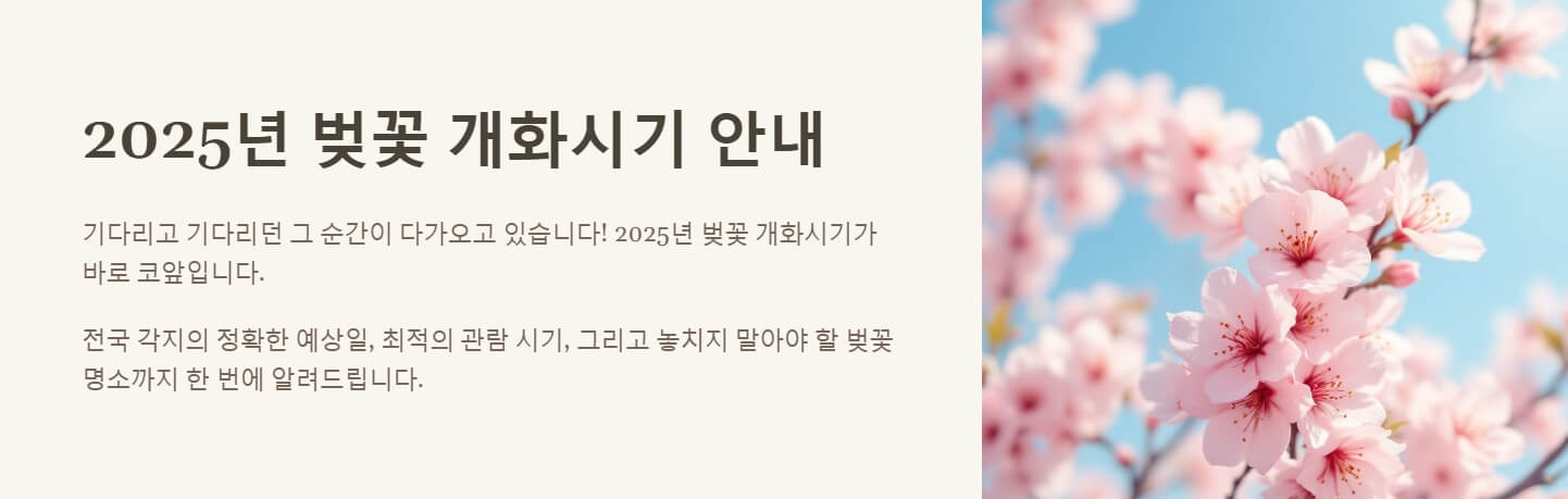 2025년 벚꽃 개화시기