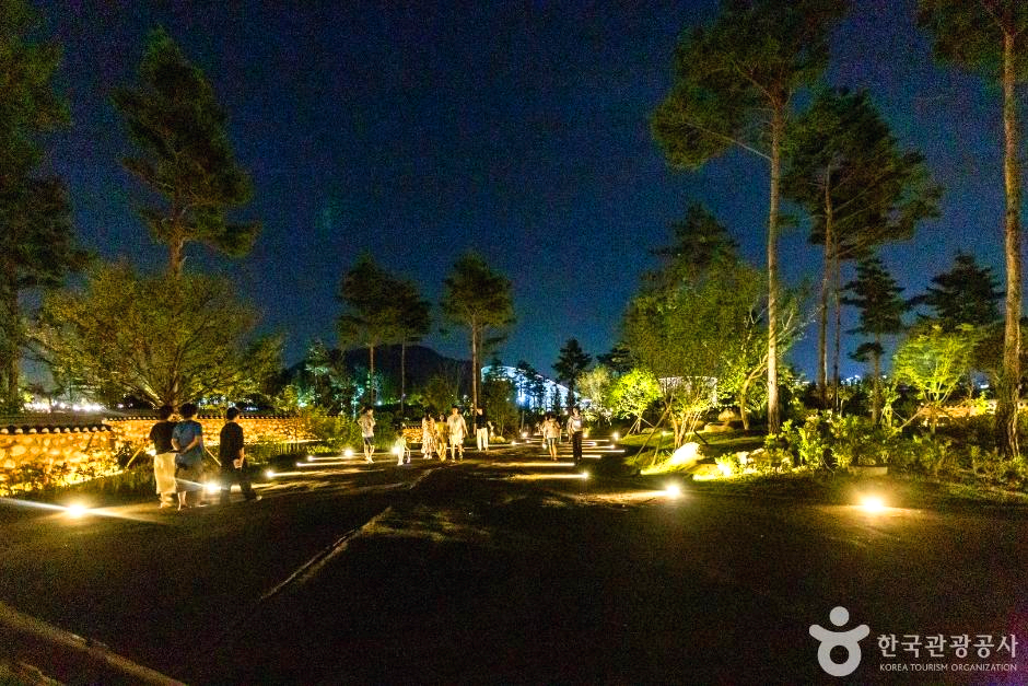 밤 공원에 사람들이 산책하고 있다.