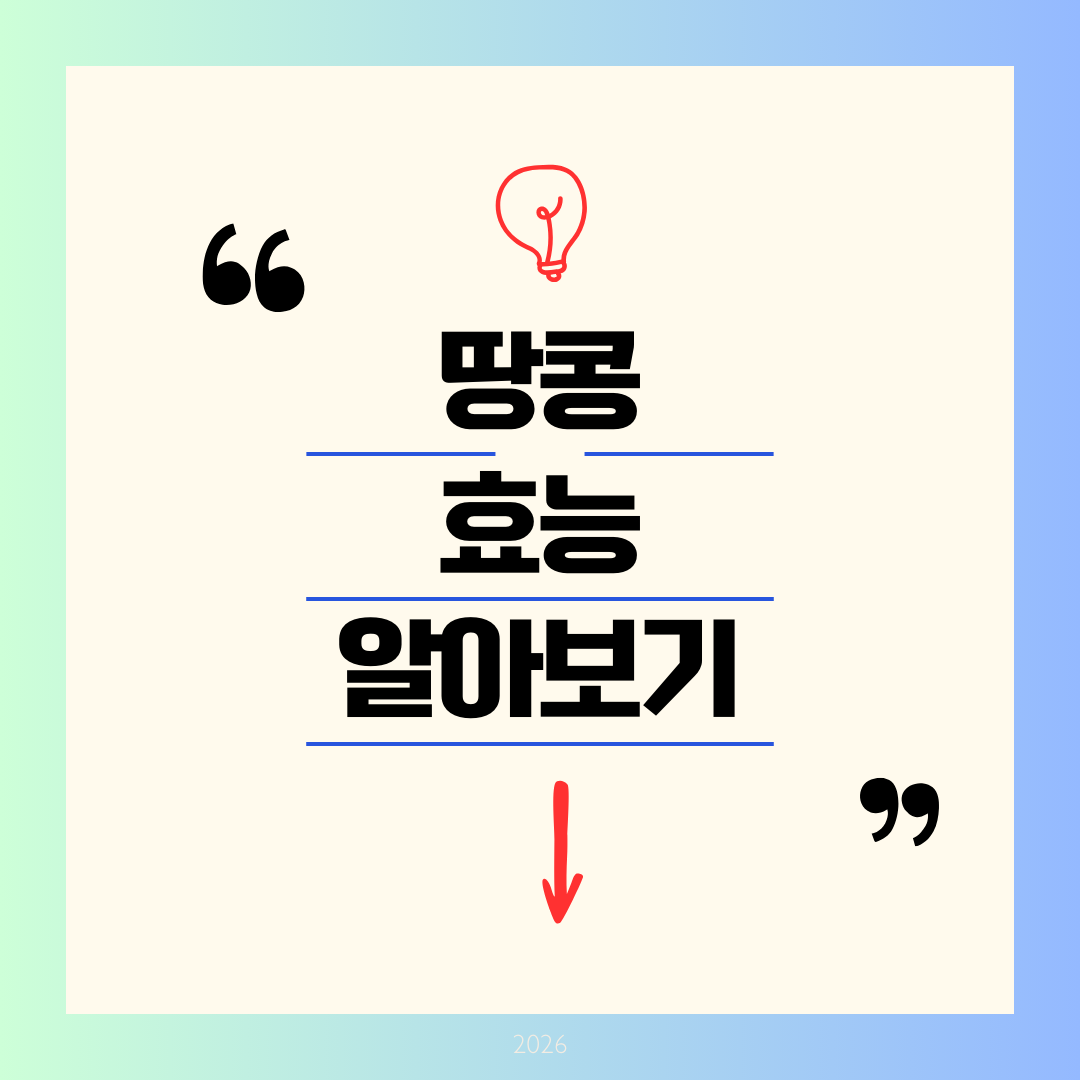 땅콩 효능 알아보기