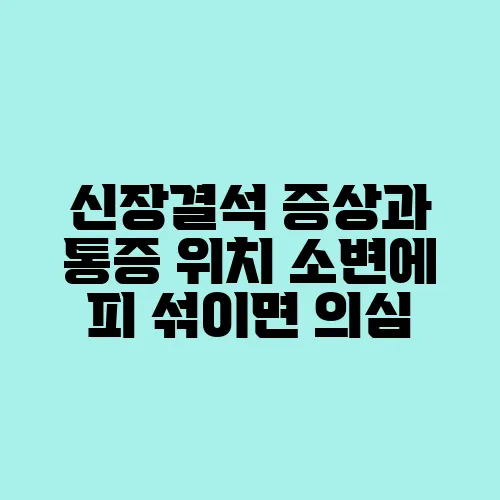 신장결석 증상과 통증 위치 소변에 피 섞이면 의심