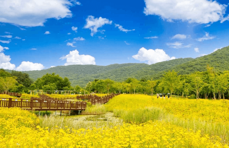 고창 가볼만한곳 베스트10