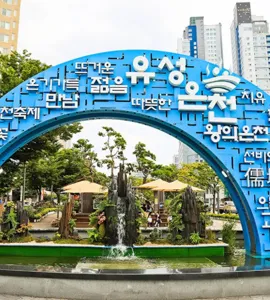 5월 대전 꼭 가볼 만한 여행지 화려한 장미꽃으로 물든 한밭수목원_3