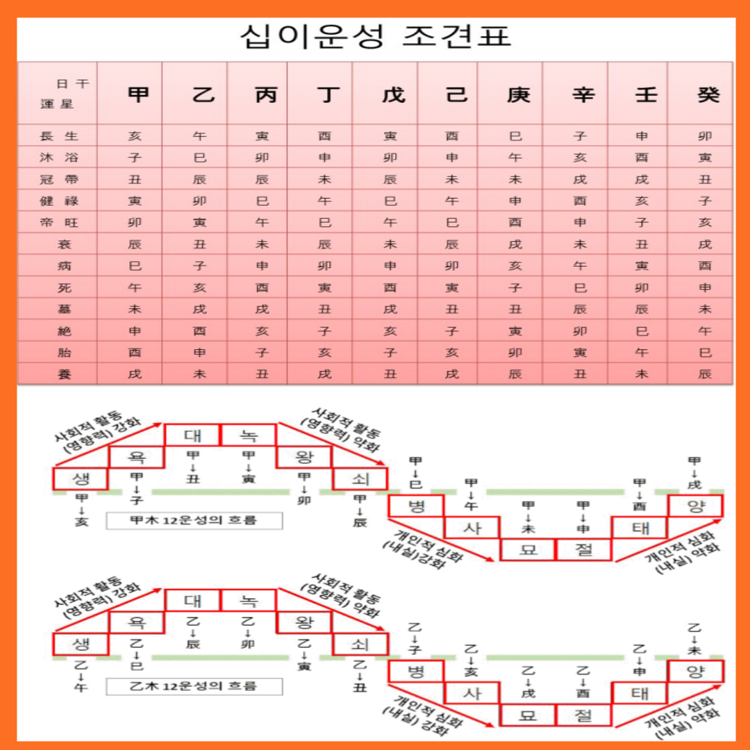 포태법의 기본 종류와 개념