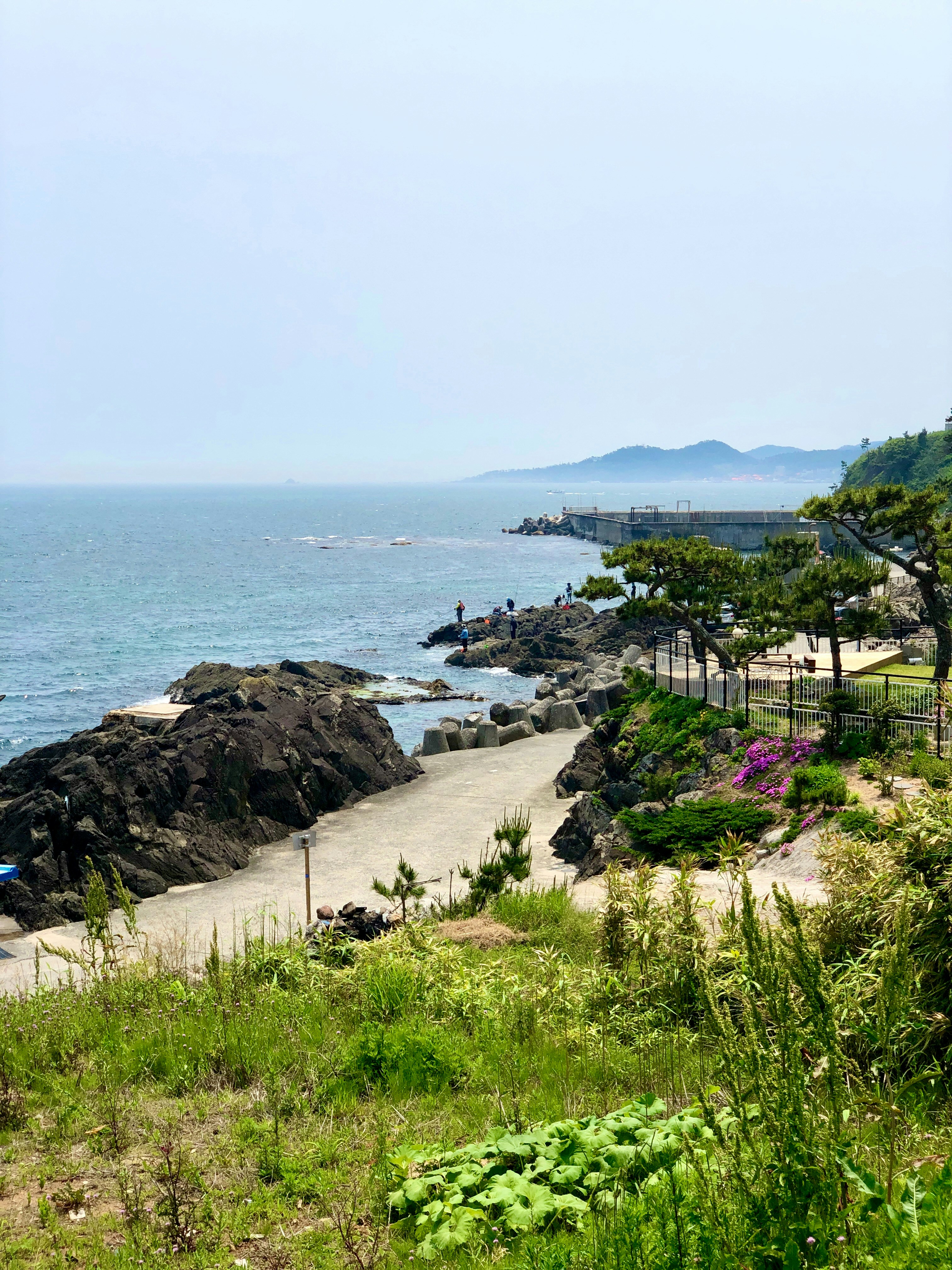 자은도- 백길해수욕장 -완벽- 가이드-7