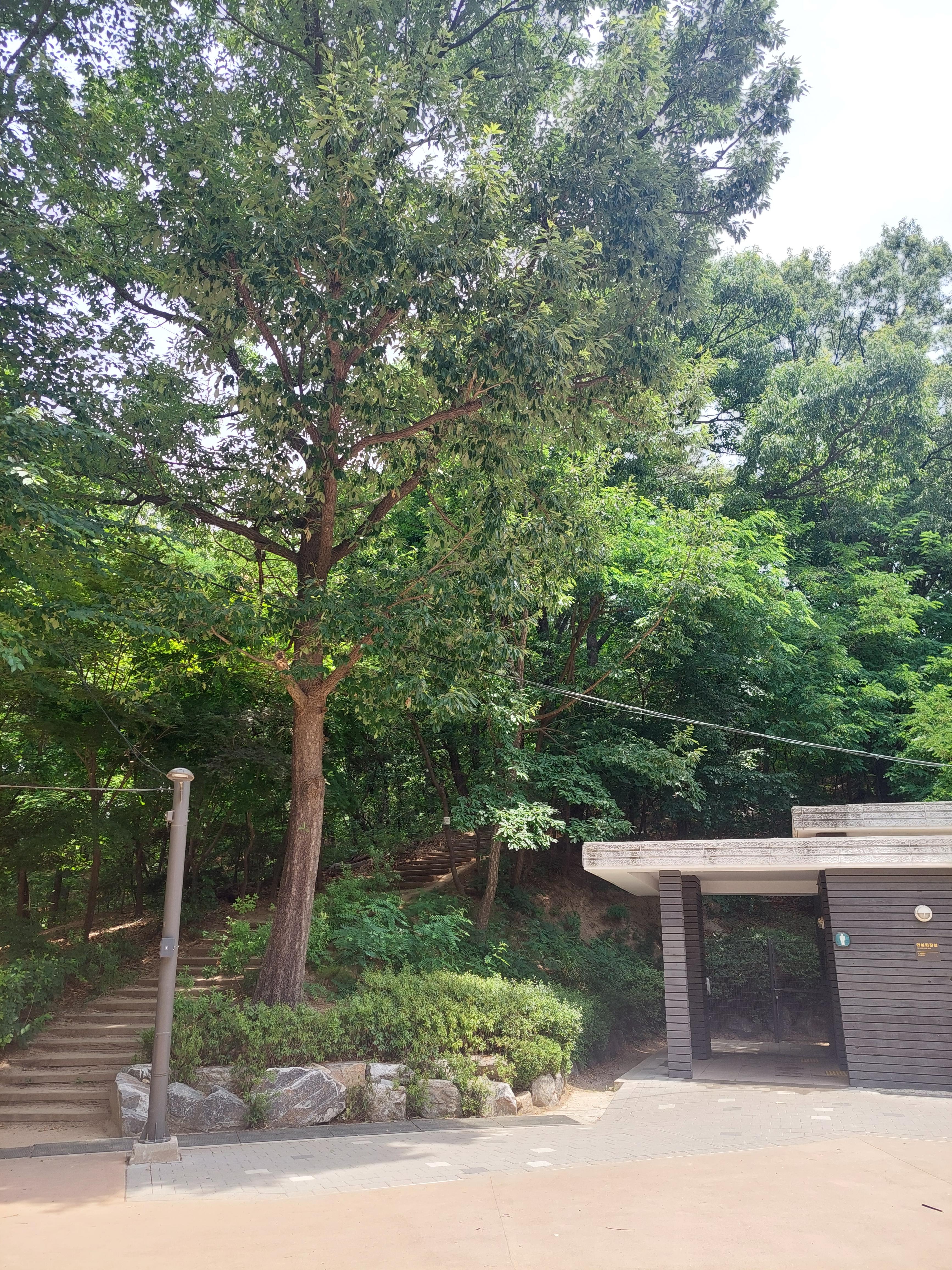 불암산
