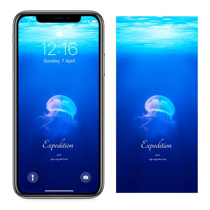 03 수면 아래 해파리 C - Expedition 아이폰여름배경화면