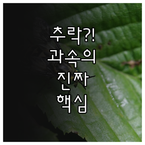 엘리베이터 추락 사고 방지: 과속 발..