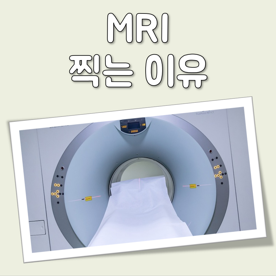 MRI 찍는 이유