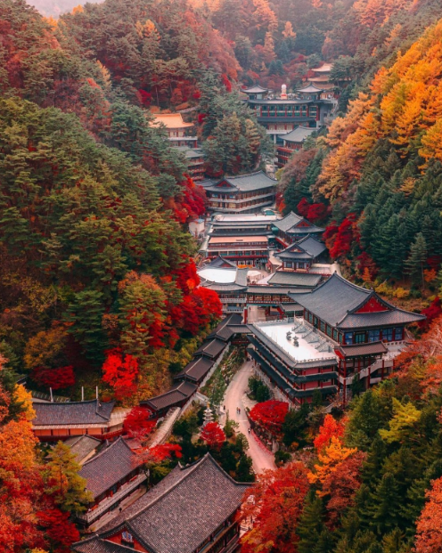 단양 구인사 입장료, 단풍 시기, 주차 및 이용방법