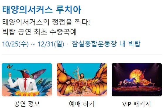 태양의 서커스 루치아 서울 부산 가격 예매 할인 좌석 주차 정보
