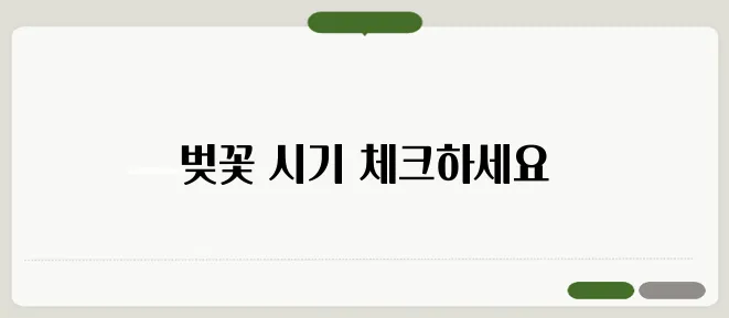벚꽃축제 핑크 천막 대여 서비스, 2025년 전국 벚꽃 개화 시기를 한눈에 확인해보세요!