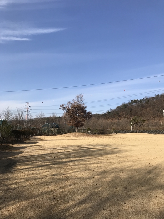 플렌테이션 잔디광장