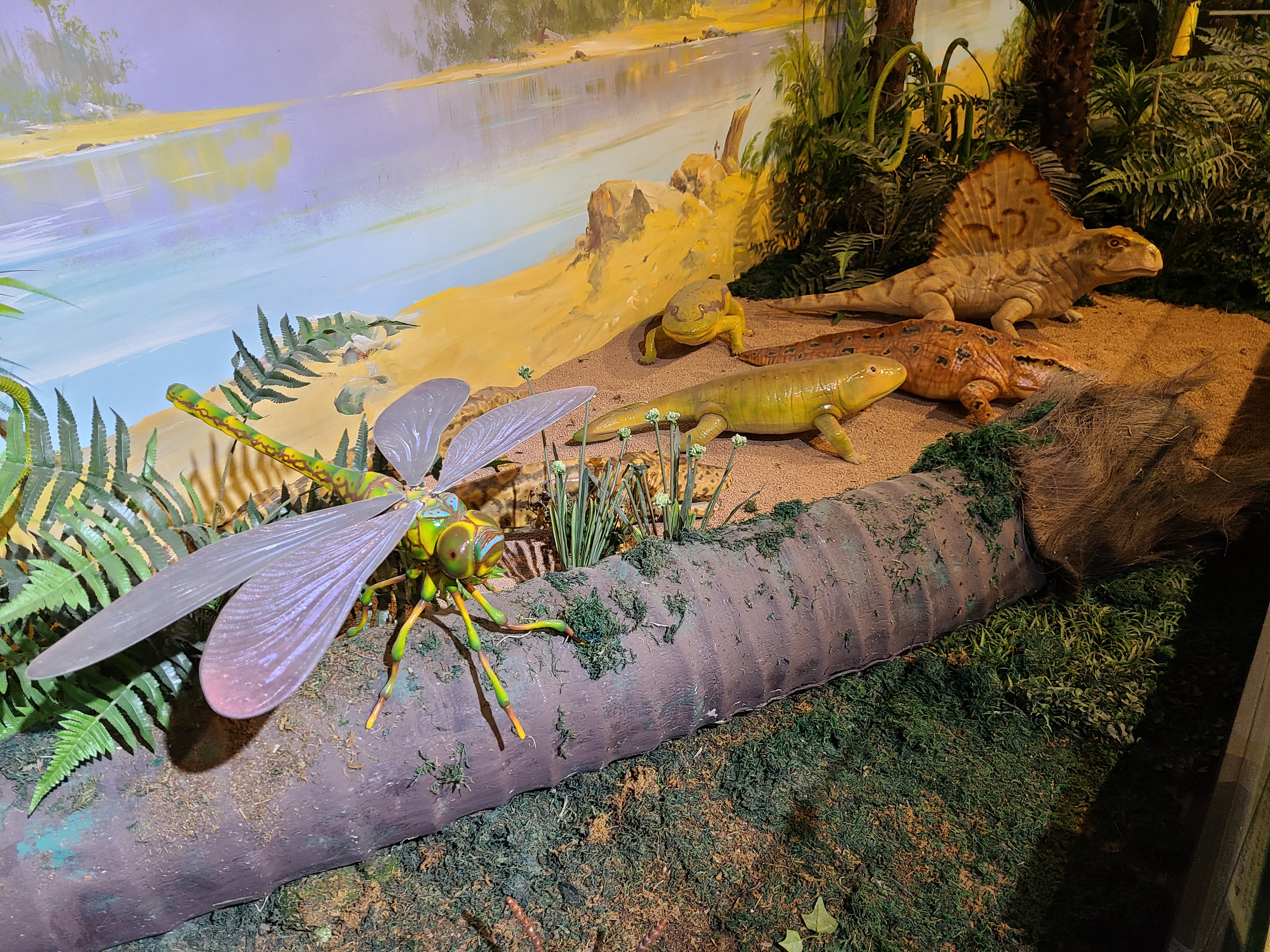 파주 공룡 박물관 2층 전시물