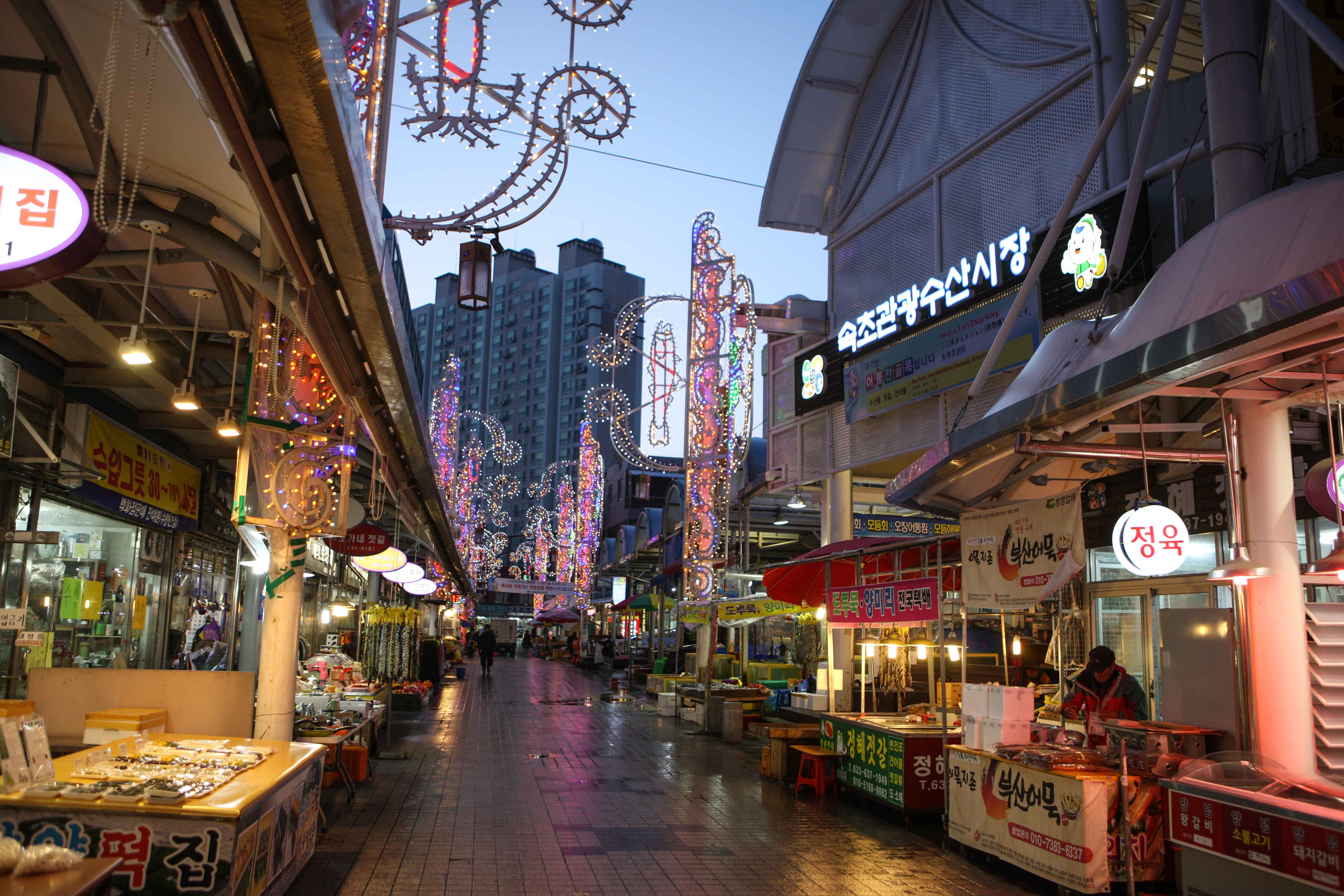 속초-가볼만한곳-추천-속초-관광수산시장