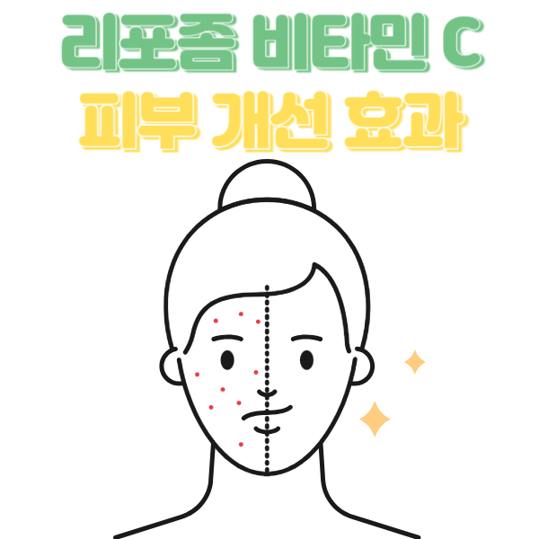 리포좀비타민C 피부