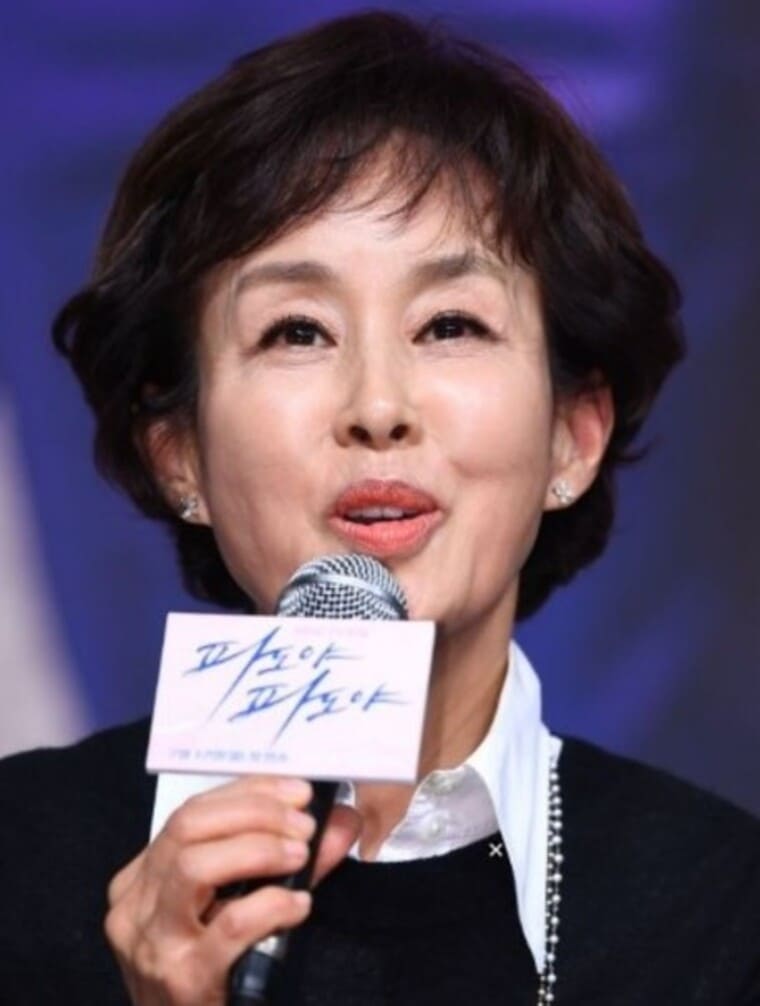 배우-이경진