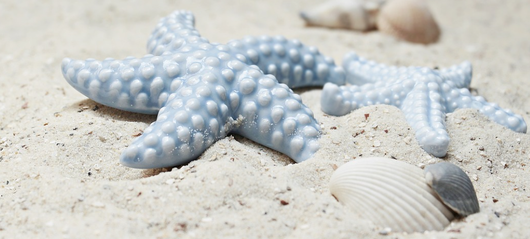 40대 여성의 해외여행