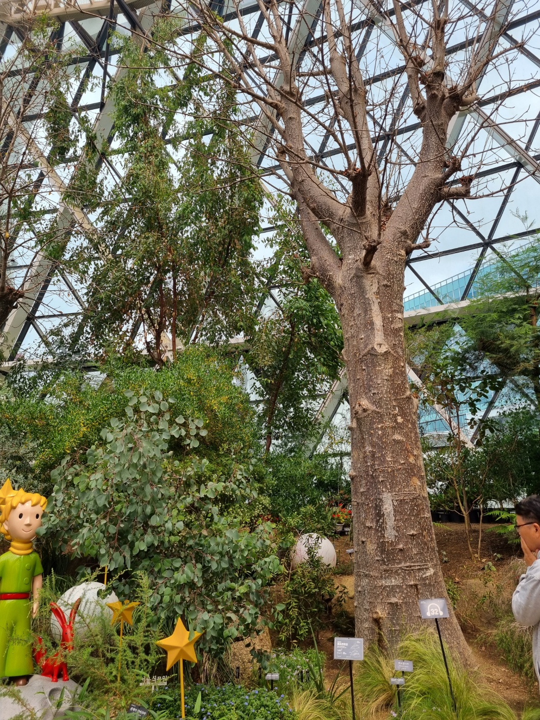 서울식물원 가는길