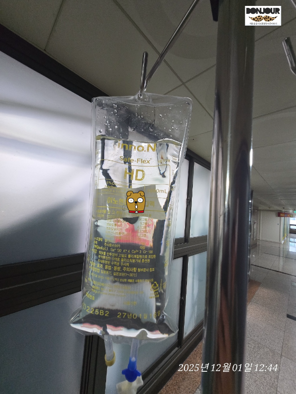 유도분만 촉진제 모습