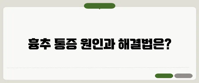 흉추 통증 증상과 대처법