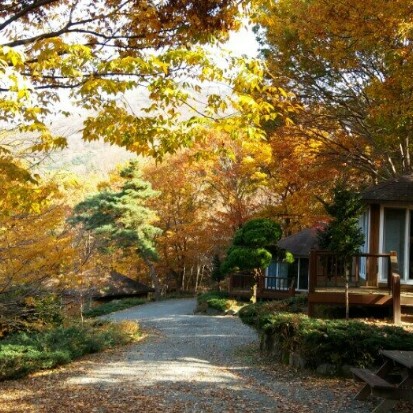 숲나들이 자연휴양림 예약방법 사진 6