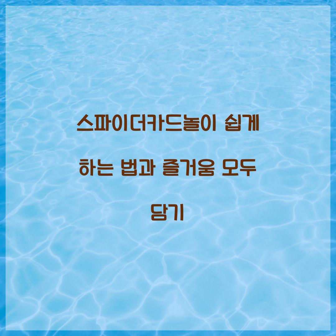 스파이더카드놀이