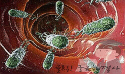 녹십자 포스트바이오틱스 알파