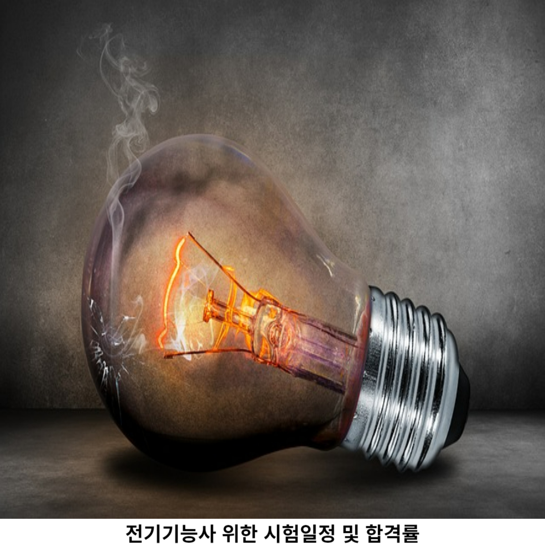 전기기능사 합격률