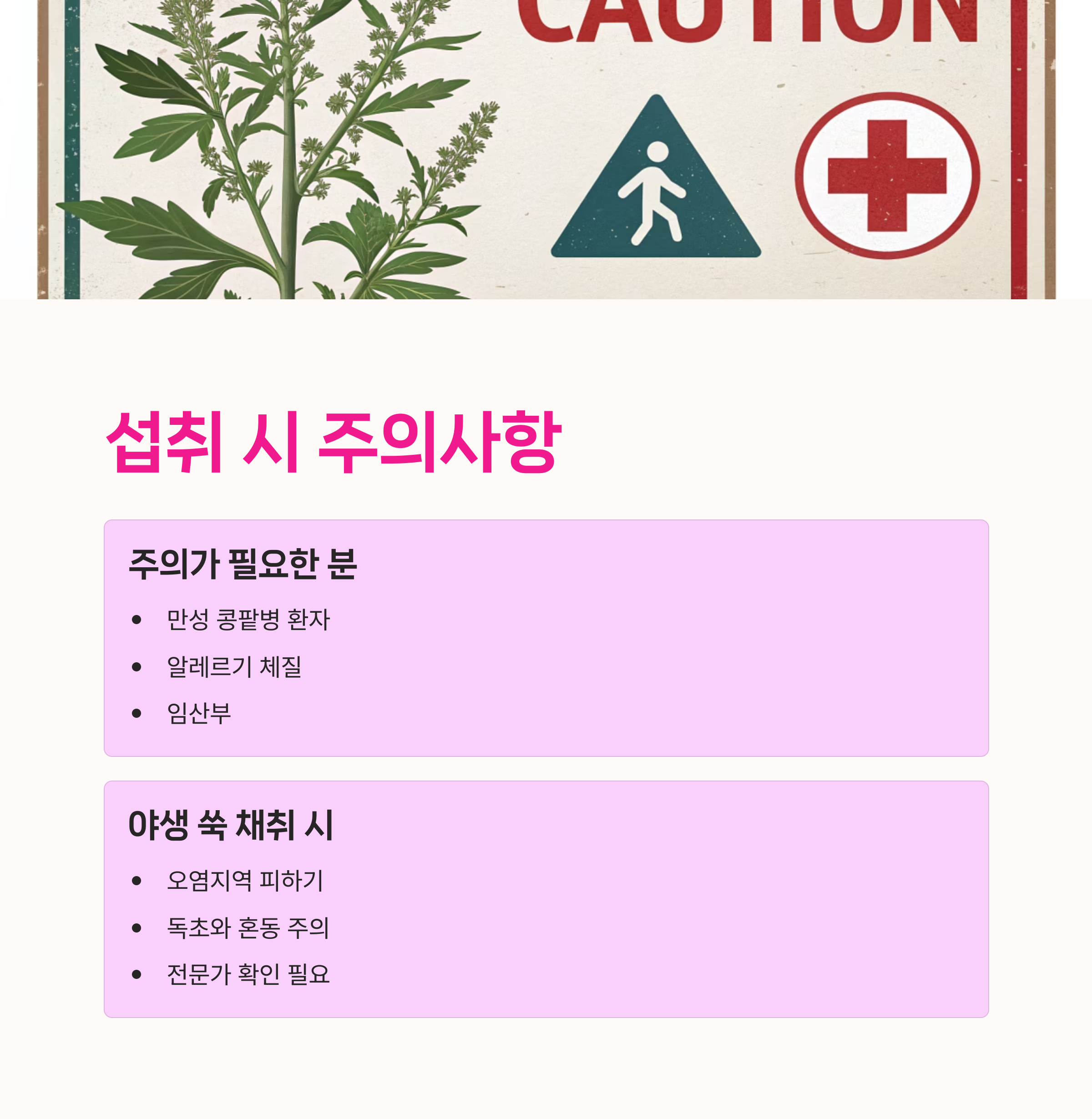 야생쑥채취,쑥주의사항,쑥과음식궁합