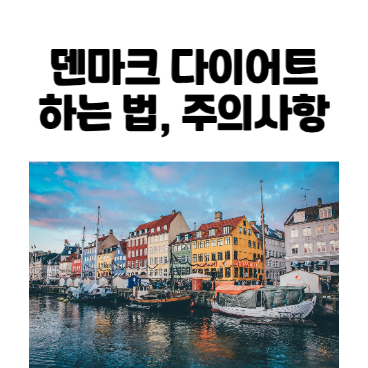 덴마크 다이어트 하는 법&#44; 주의사항