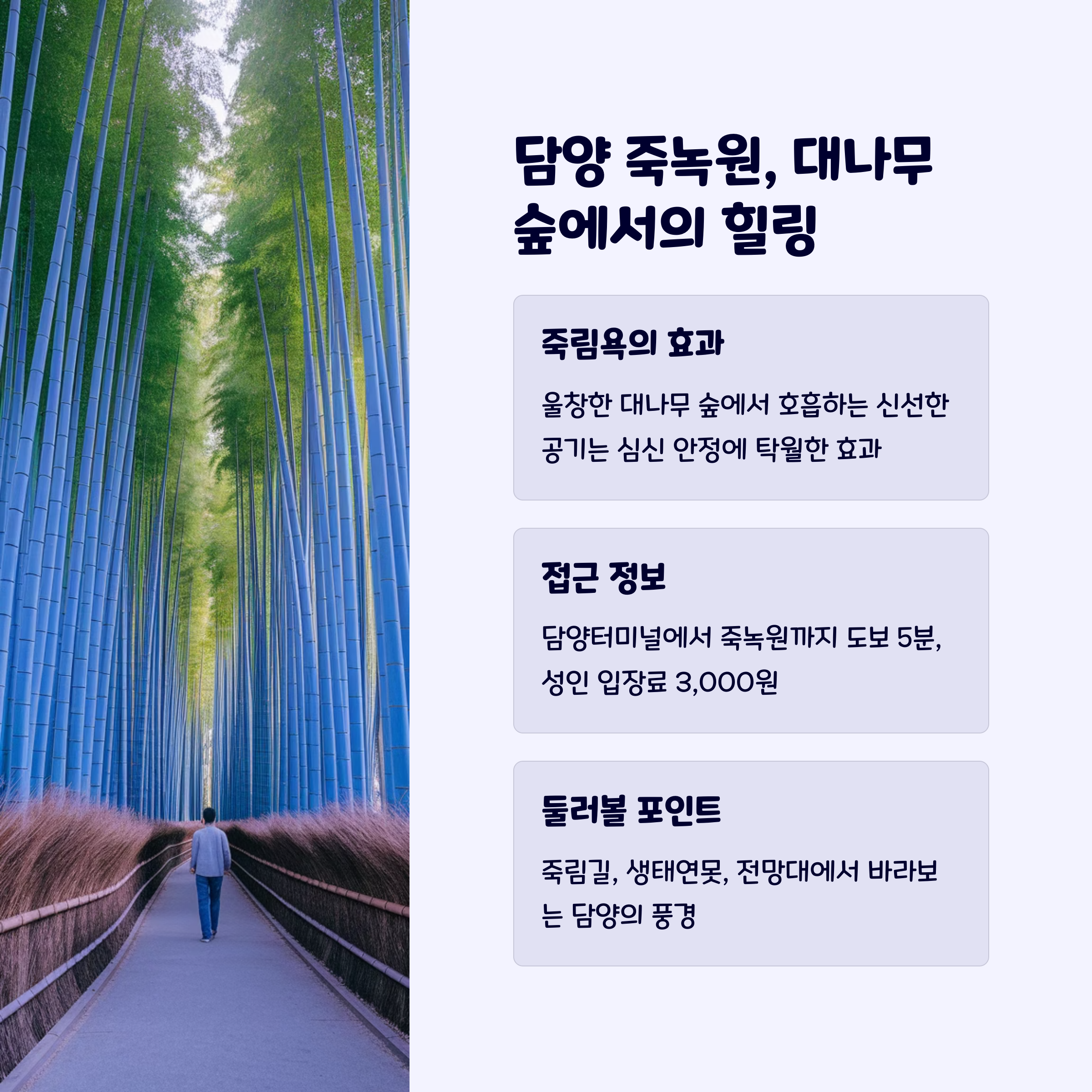 담양죽녹원
