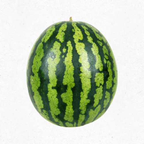 플래시 프리징으로 수박 큐브 덩어리 방지하는 방법