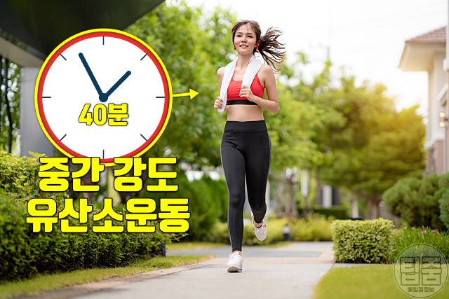 좋은 콜레스테롤 높이는 방법 콜레스테롤 정상 만들기