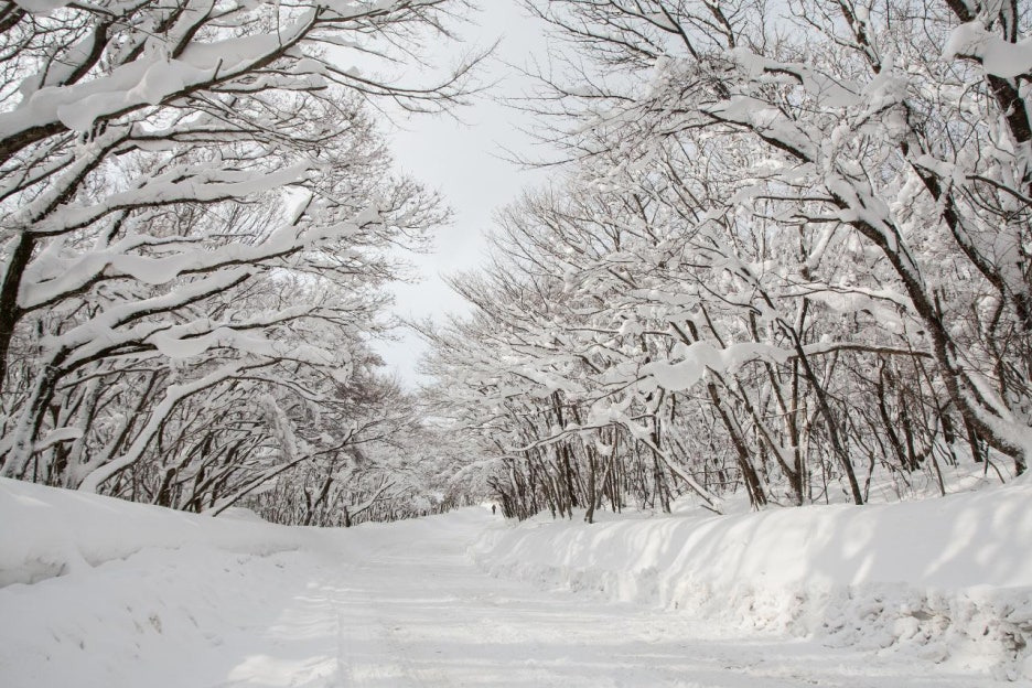 제주 겨울여행 나만의 취향으로 만나는 7가지 여행