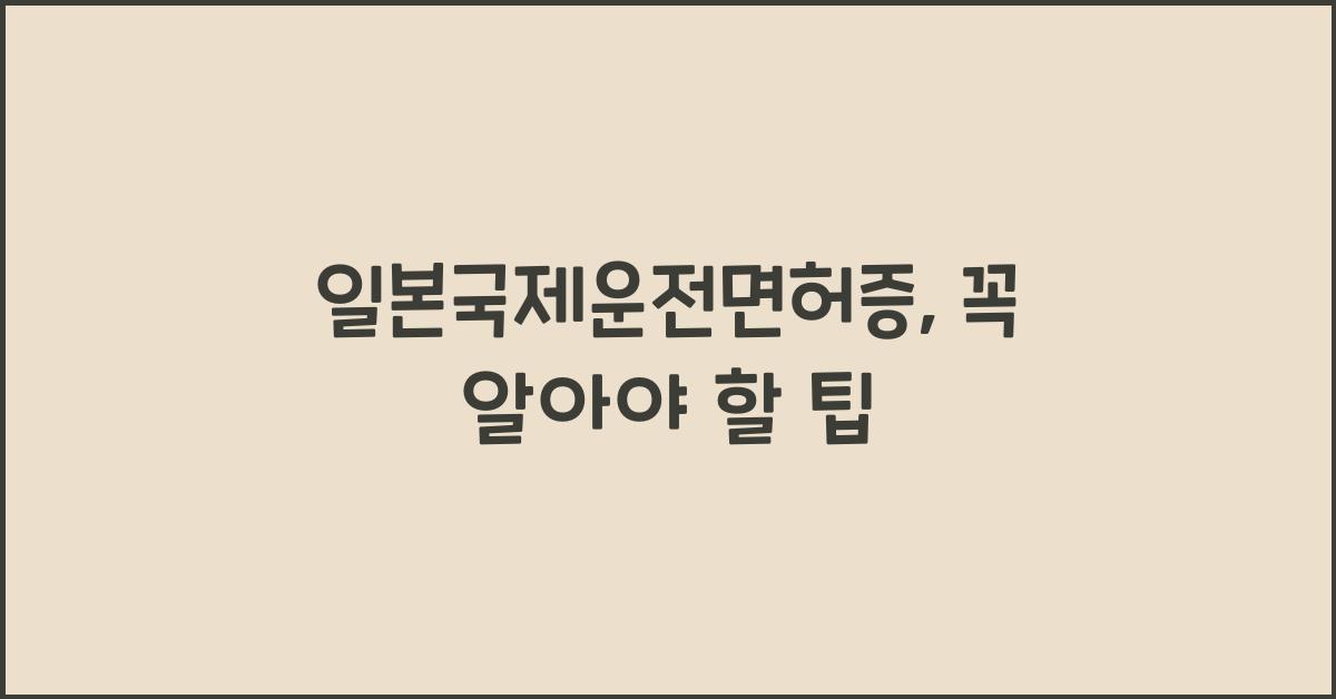일본국제운전면허증
