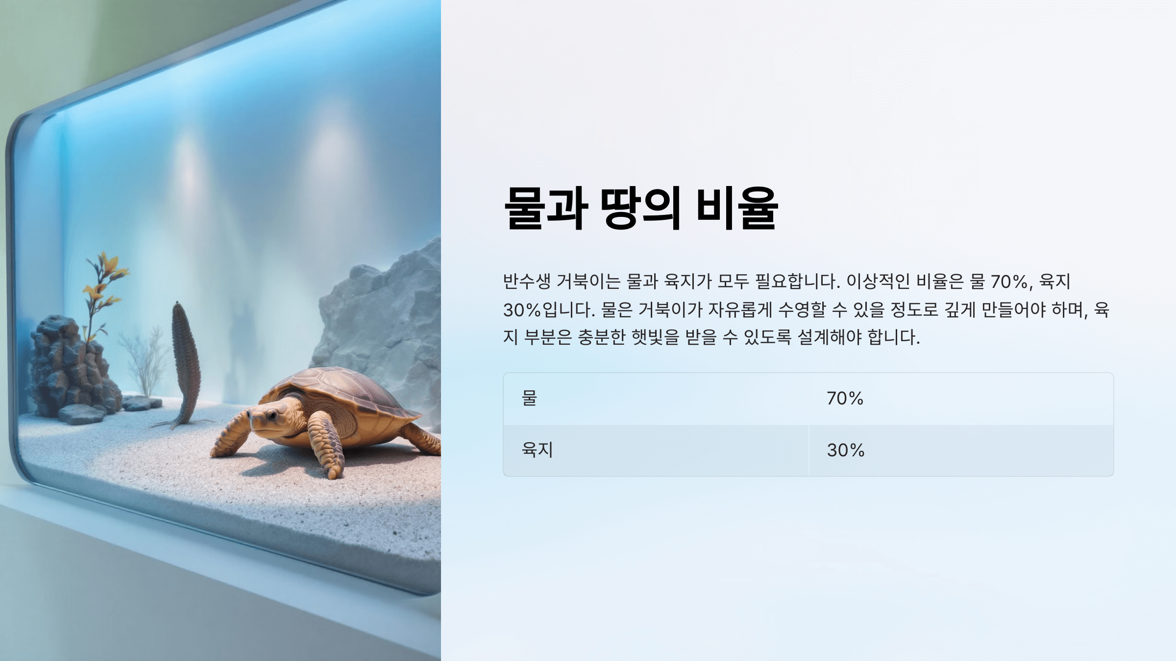 반수생 거북이 사진입니다.