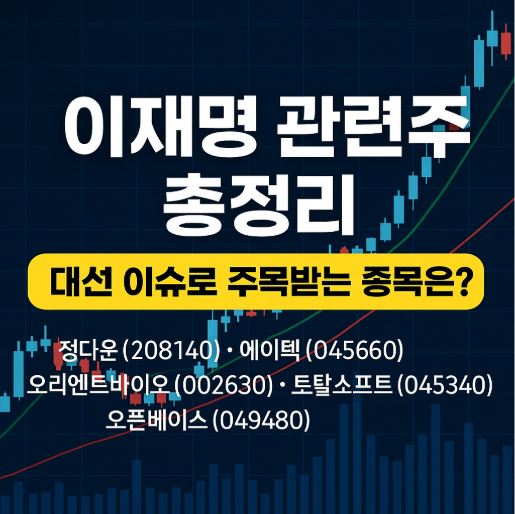 이재명 관련주 관련 사진