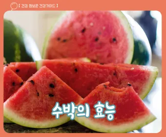 수박 효능_18
