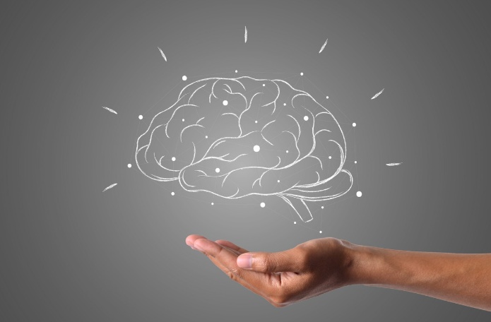 뇌 인지력 자가테스트