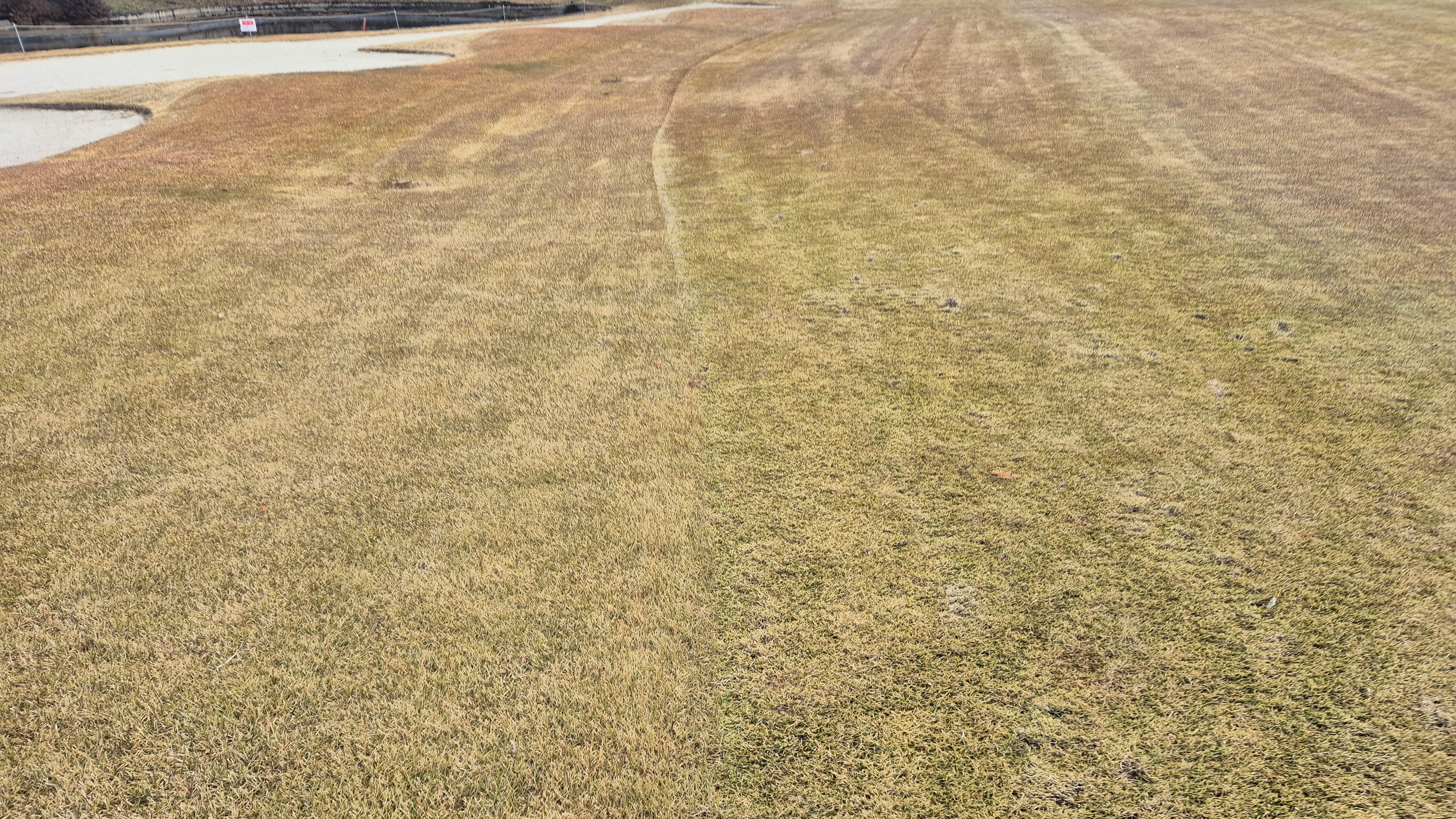 올데이 떼제베cc 가람-누리(서-남) 코스관리상태