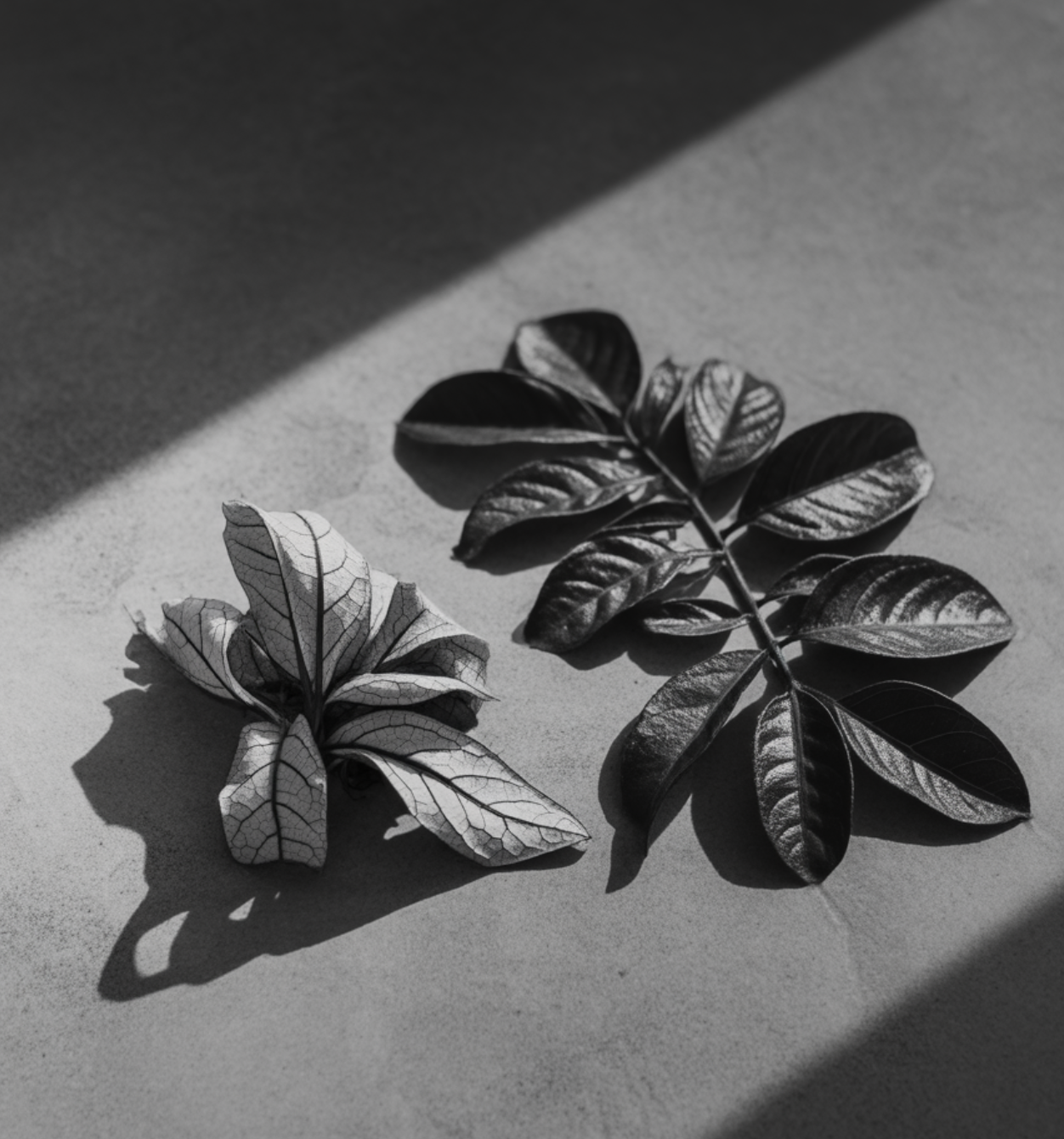 목마름의 신호 vs 질식의 신호