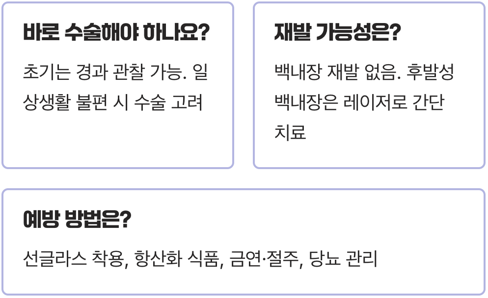백내장 원인과 초기 증상, 시야가 뿌옇게 변하는 이유 완전정리