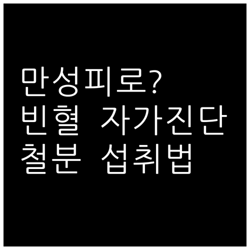 만성피로, 어지럼증? 빈혈 자가진단과..