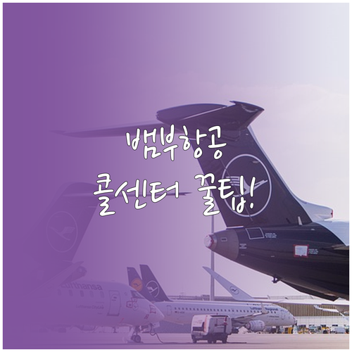 뱀부항공 글로벌 콜센터와 한국 지사 ..