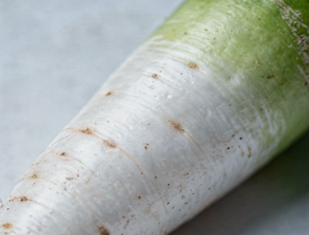 겨울철 무우 보관법